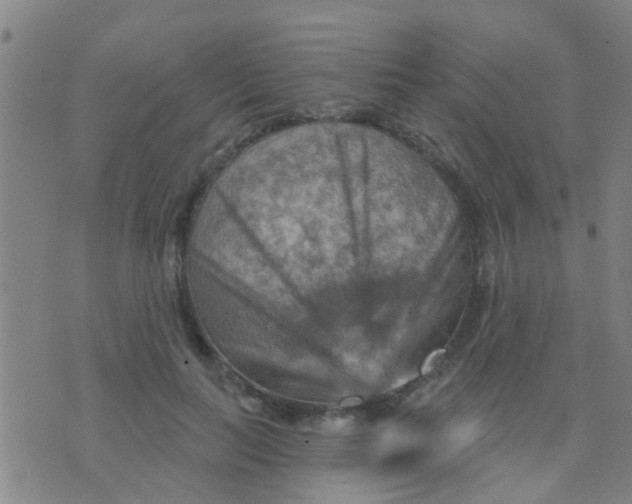 X0000075830647200610061823