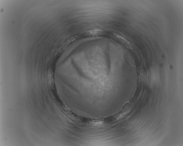 X0000075830651200610061823