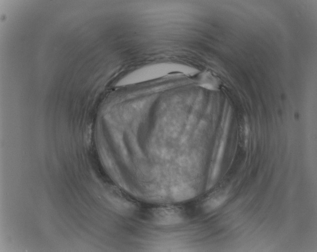 X0000075830652200610061823