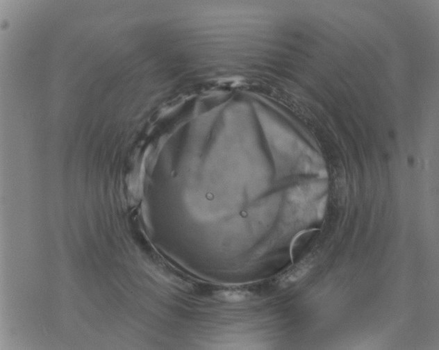 X0000075830654200610061823