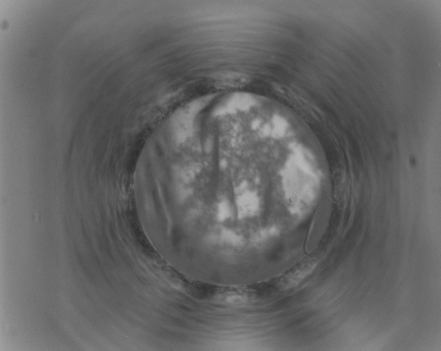 X0000075830655200610061823