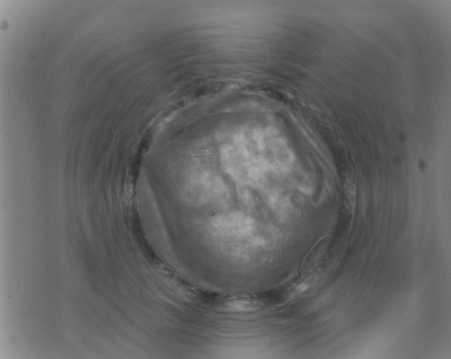 X0000075830657200610061823