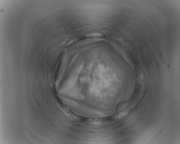 X0000075830658200610061823