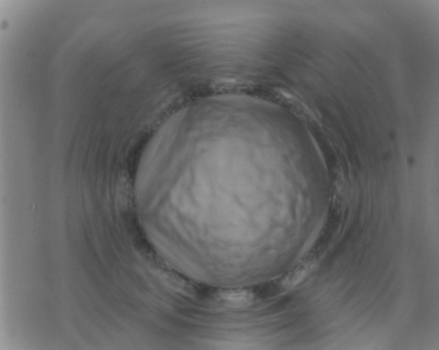 X0000075830659200610061823