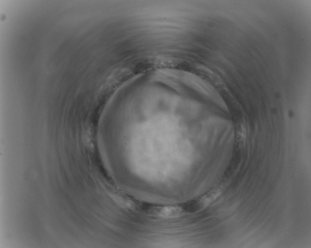 X0000075830663200610061823