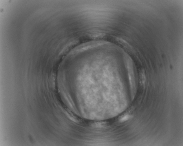 X0000075830664200610061823