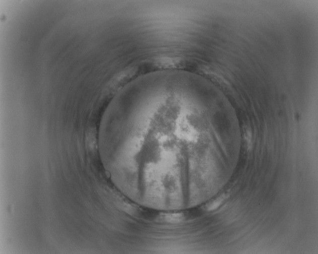 X0000075830665200610061823