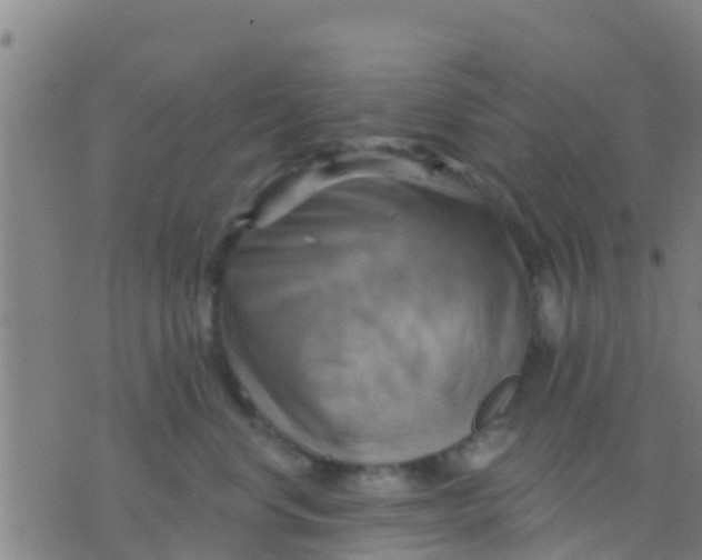 X0000075830668200610061823