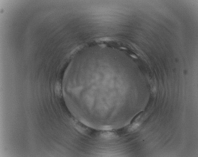 X0000075830669200610061823