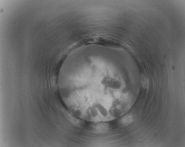 X0000075830670200610061823