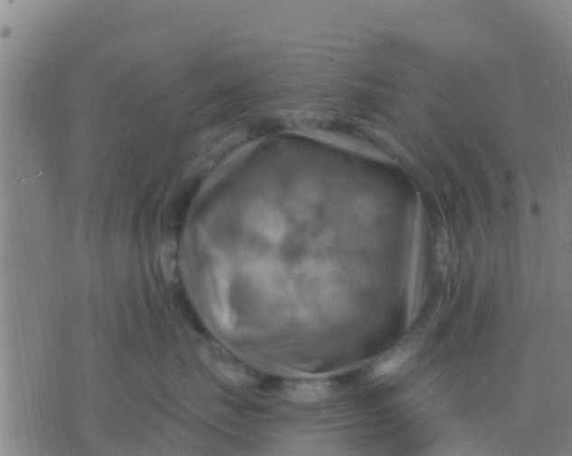 X0000075830671200610061823