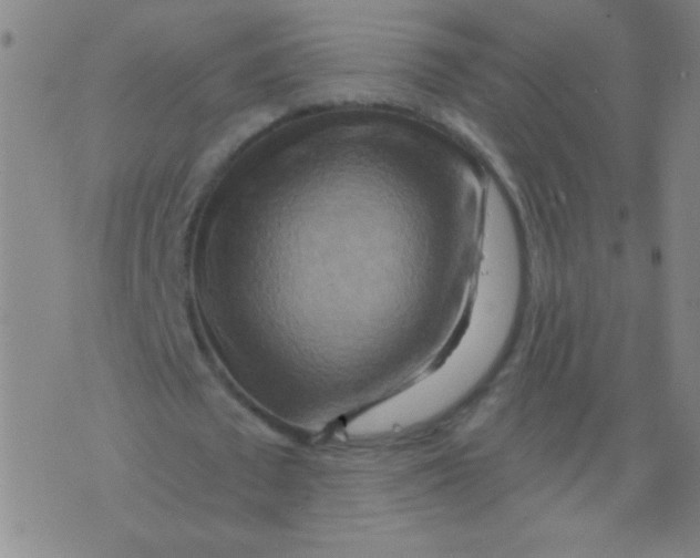 X0000075830673200610061823