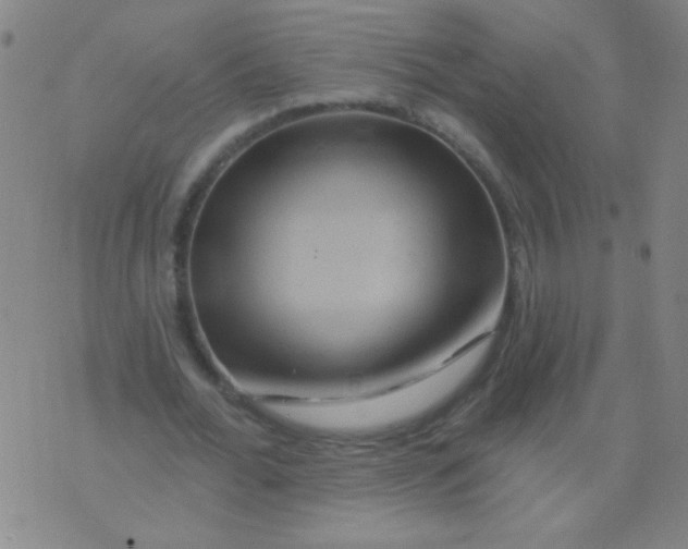 X0000075830676200610061823