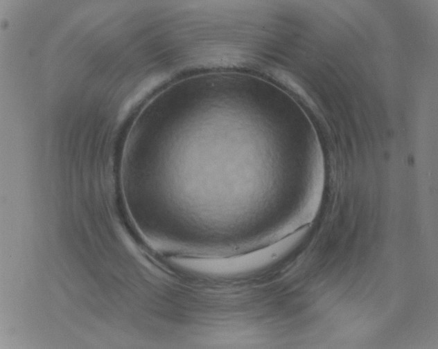 X0000075830677200610061823