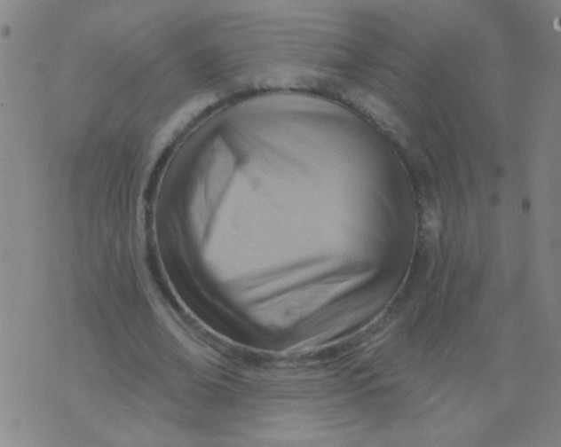 X0000075830678200610061823