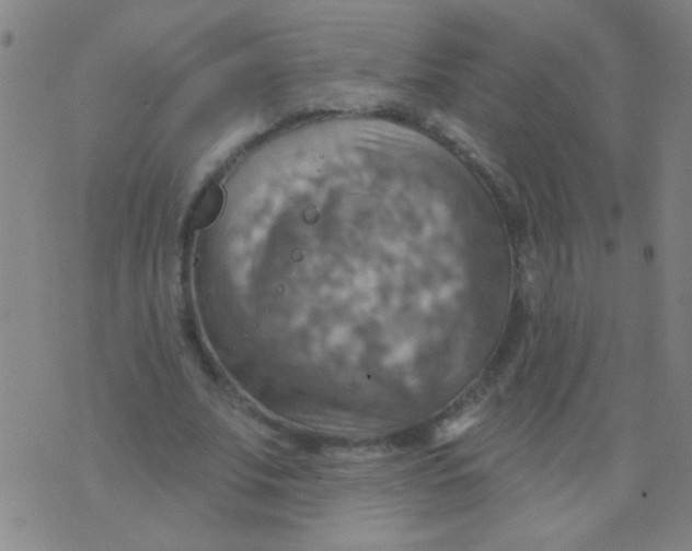 X0000075830679200610061822