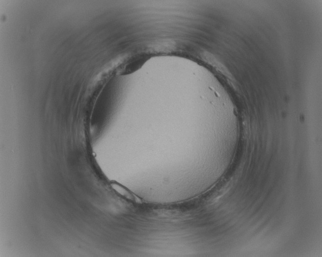 X0000075830681200610061822