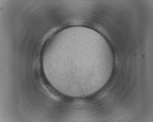 X0000075830682200610061822