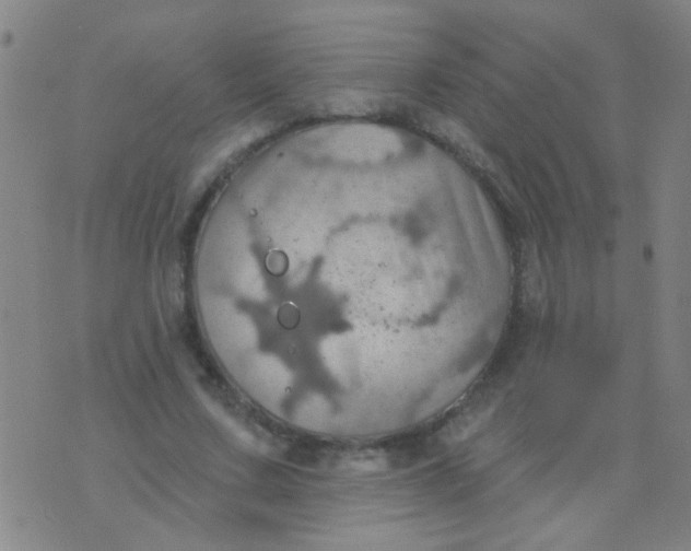 X0000075830683200610061822