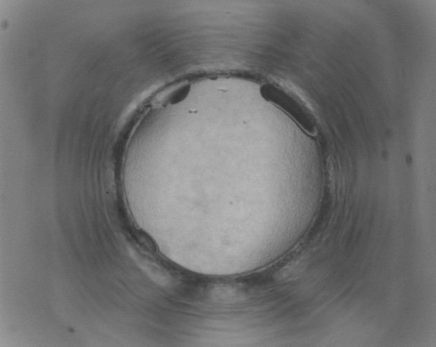 X0000075830684200610061822