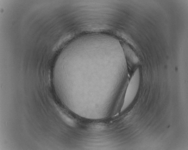 X0000075830685200610061822