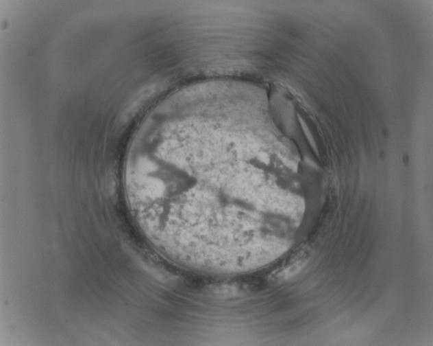 X0000075830687200610061822