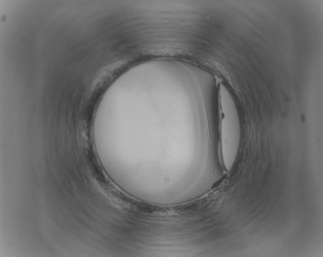 X0000075830688200610061822