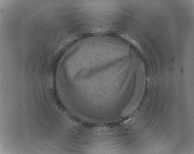 X0000075830689200610061822