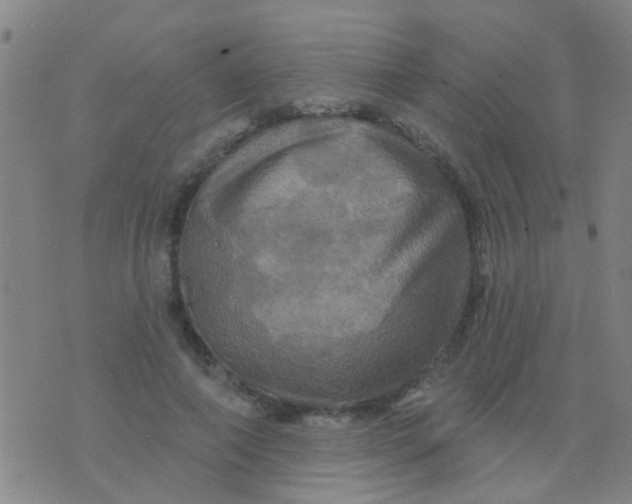 X0000075830690200610061822