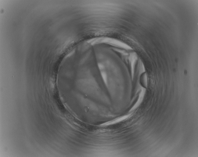 X0000075830691200610061822