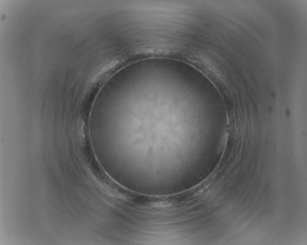 X0000075830692200610061822