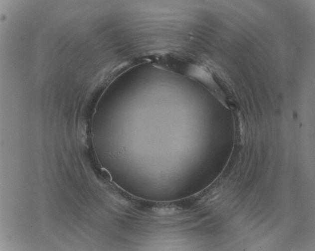 X0000075830693200610061822