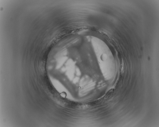 X0000075830695200610061822