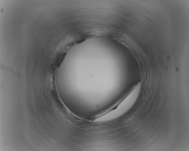 X0000075830696200610061822