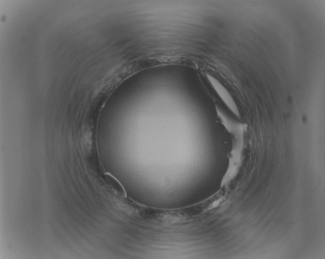 X0000075830697200610061822