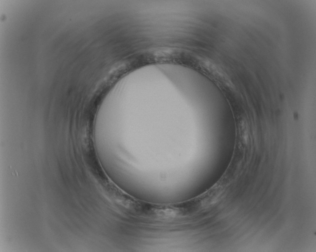 X0000075830698200610061822