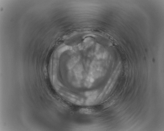 X0000075830699200610061822