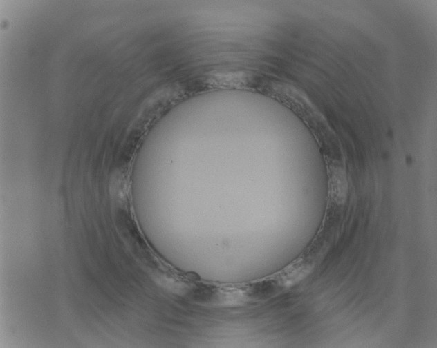 X0000075830701200610061822