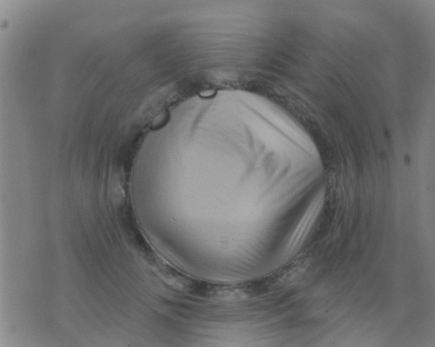 X0000075830702200610061822