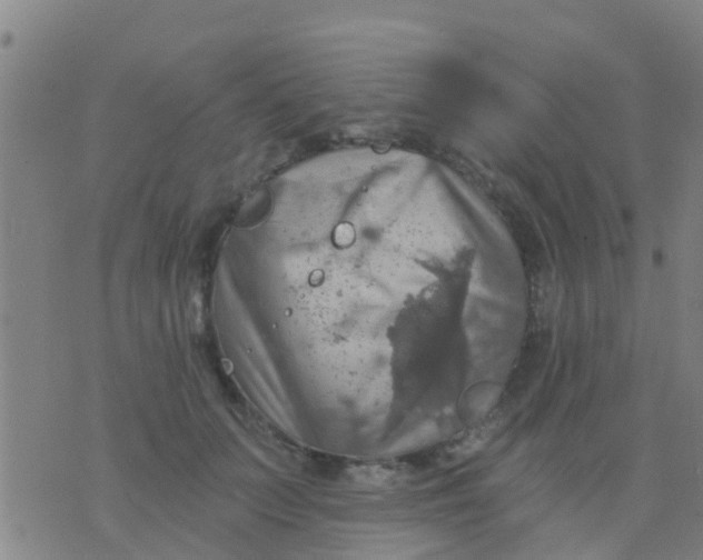 X0000075830703200610061822