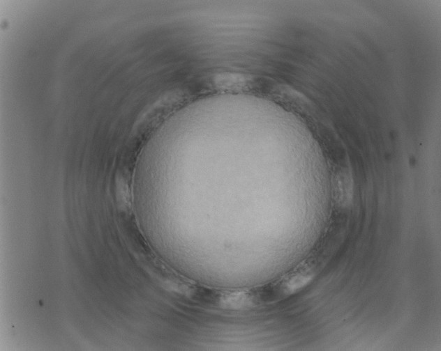 X0000075830705200610061822