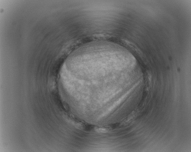 X0000075830706200610061822