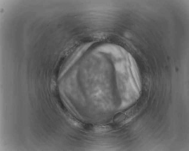 X0000075830707200610061822