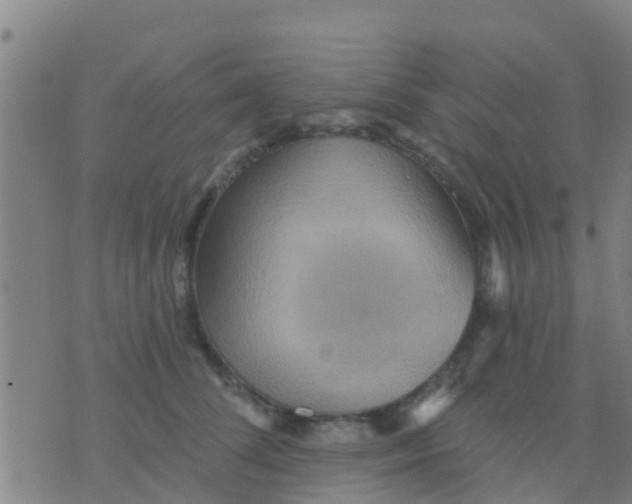 X0000075830708200610061822