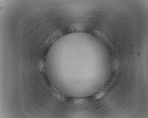 X0000075830709200610061822