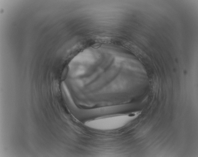 X0000075830711200610061822