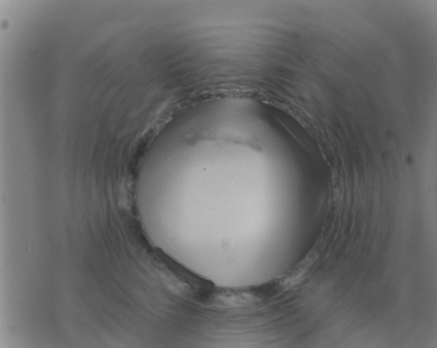 X0000075830712200610061822