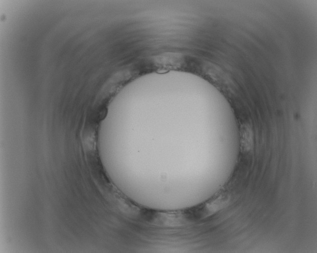 X0000075830713200610061822