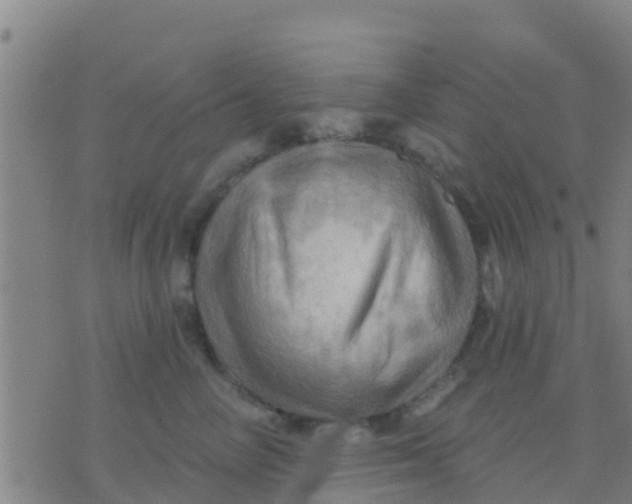 X0000075830714200610061822