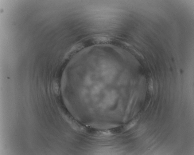 X0000075830715200610061822